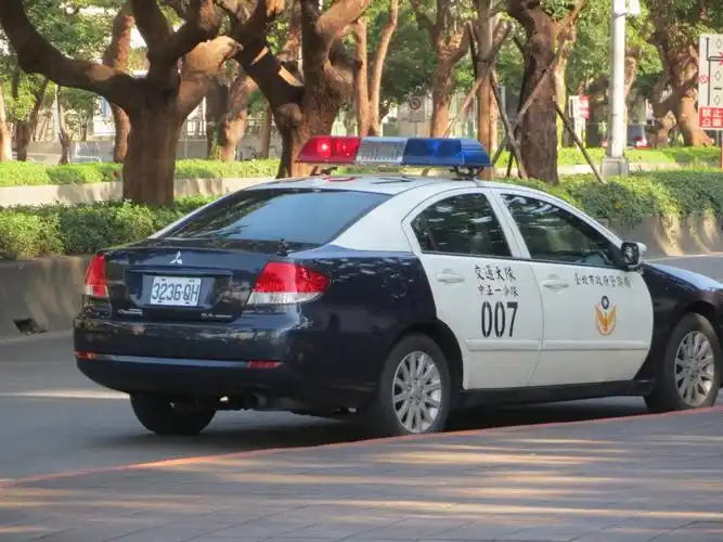 观赏那一颗中华明珠--台湾六日游  台北街头的出租车和警车,看上去很