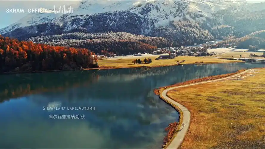 有没有超好看的全面屏壁纸?