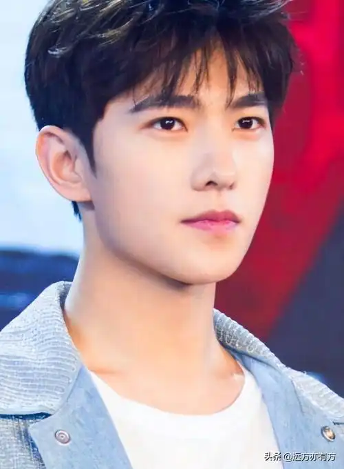 这7位男明星的长相-长相洋气的男明星 - 114知识网