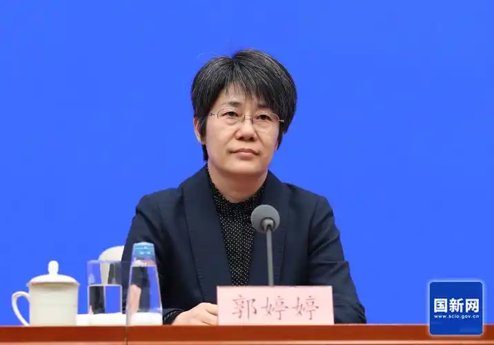 商务部副部长郭婷婷