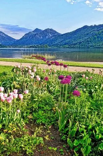 花山山水自然(flowers-mountains-landscape-nature)