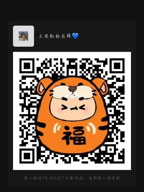 王俊凯粉丝群有要进的私信