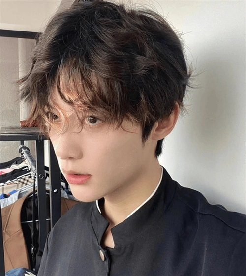 帅气清爽的男生蝴蝶烫发型,简单自然好打理