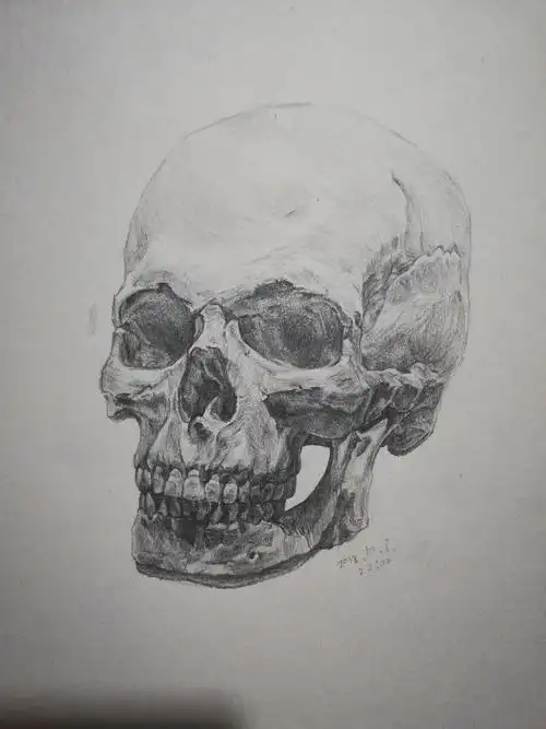 骷髅|纯艺术|素描|王栋丿dong - 临摹作品 - 站酷 (zcool)