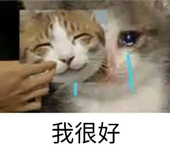 我很好流泪喵星人喵星人流泪表情