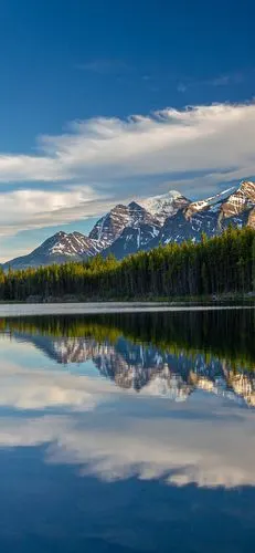 1080_2340竖版 竖屏