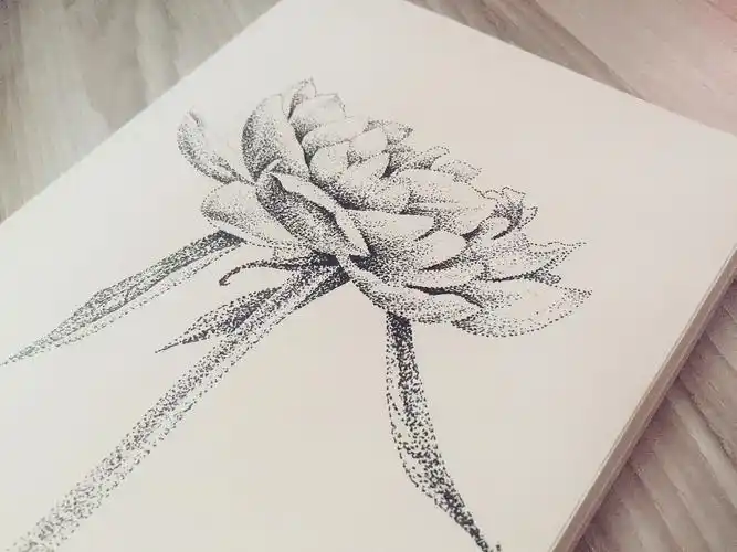 点绘《花卉》-带步骤