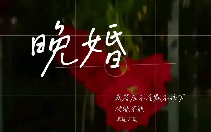 【翻唱】晚婚-谭维维live版 | 让我擦去脸上脂粉,让他听完全部传闻