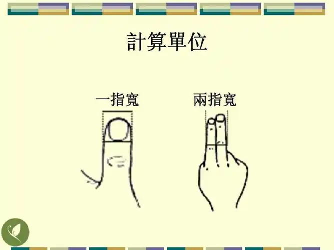 五行经络图加实作