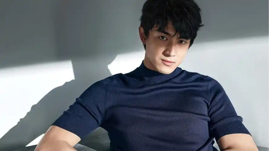 中国颜值最高十大男星(长相剑眉星目的10位男明星)-七暖网