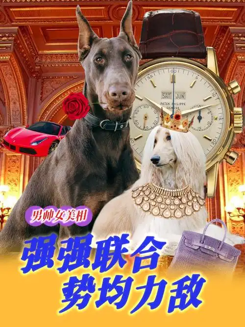 遇上互联网拉郎配大潮,会发生些什么?