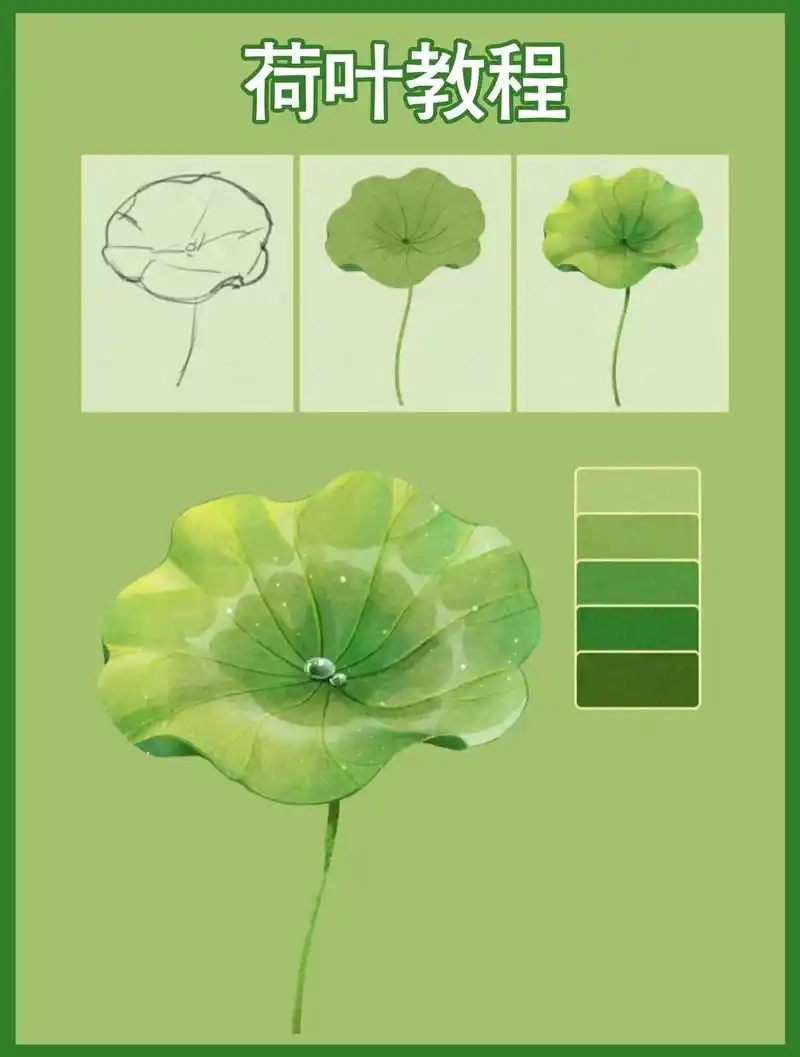 零基础绘画教程荷叶步骤图