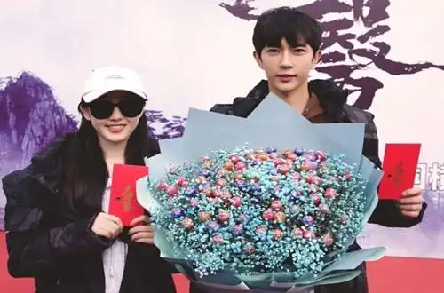 于朦胧新剧未播先火倪大红李雪健做配女主还是当红小花