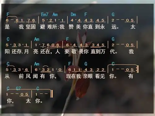 诗歌亲眼看见你歌谱图片分享下载