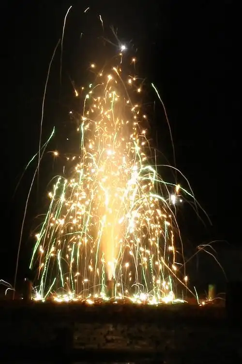 火树银花迎新年