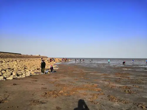 东疆湾沙滩景区