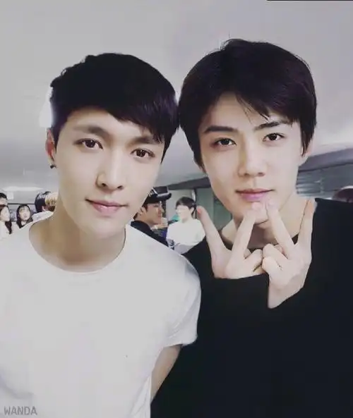 exo张艺兴lay吴世勋sehun魂蛋勋兴