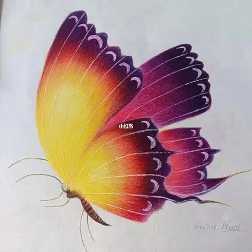 『彩铅』新手入门级 芒果03和蝴蝶03