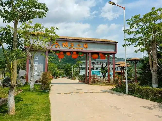 肇庆市四会市沙糖桔产业园