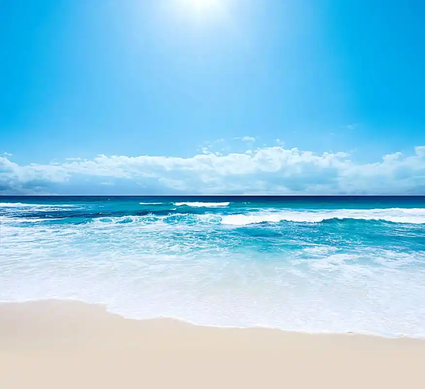 离职期间我在做什么