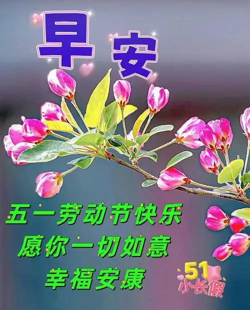五一,最美祝福送上!|快乐|早安|清晨|幸福|五一劳动节_网易订阅