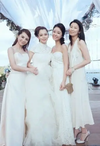 猜猜霍建华林心如的伴郎伴娘都有谁?