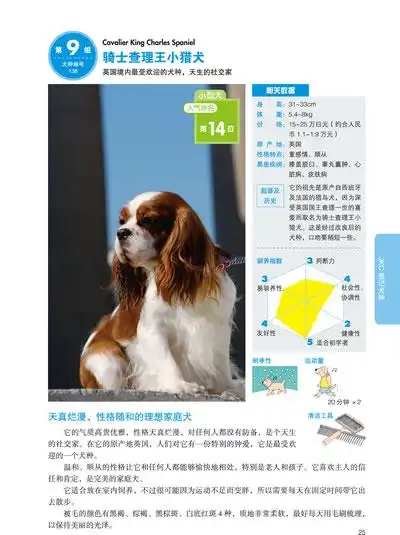 迄今为止最全面,最实用的世界名犬大集合.