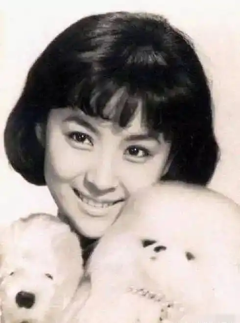 嫁给谢贤的甄珍,为何又嫁给了纠缠多年的刘家昌,假扮 .