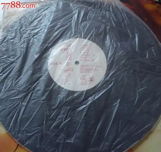 怀旧经典收藏老式黑胶唱片林忆莲爱上一个不回家的人
