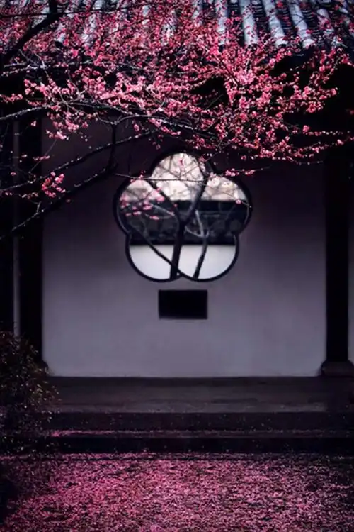 中式庭院——心中最美的风景