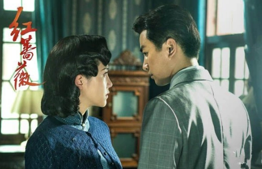 电视剧《红蔷薇》大结局及(1~48集)分集介绍