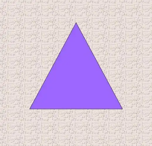 有三个尖尖角和三条边的三角形宝宝