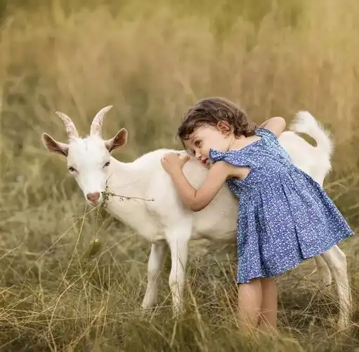 他拍出了世上最暖心的瞬间看完整个人都被治愈了