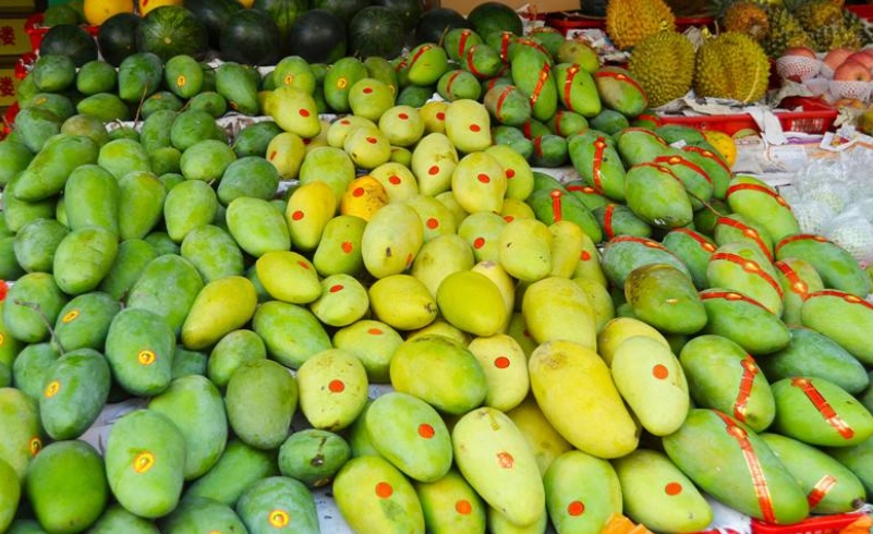 东莞江南莞香水果批发市场芒果代卖