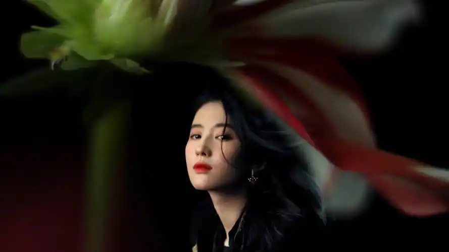电脑壁纸 明星 大陆明星 刘亦菲优雅魅力繁花时尚迷人写真