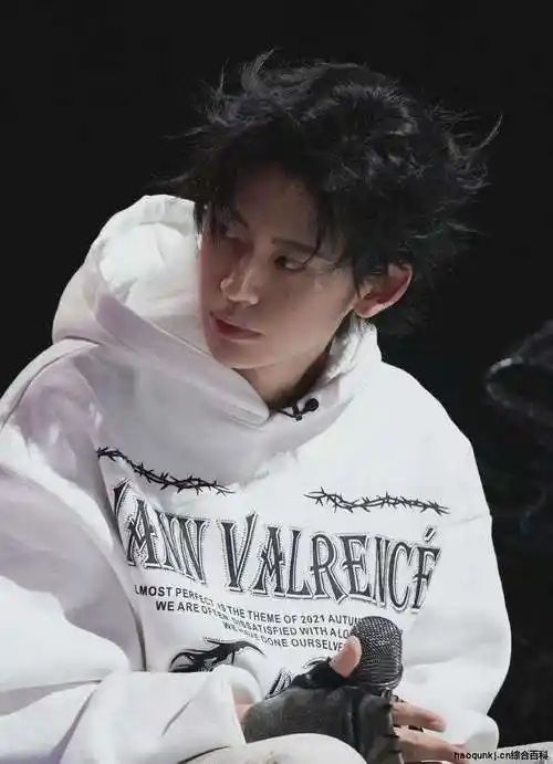 王琳凯个人资料简历图片(小鬼王琳凯 音乐的世界里由我自定义)-第15张