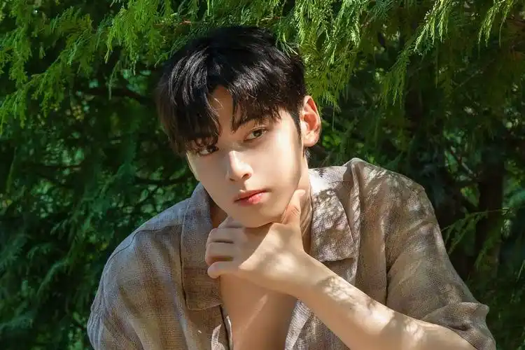 却成了统一饭圈审美的天才脸蛋,颜值巅峰时期的车银优,究竟有多帅