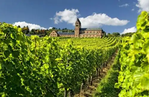 红酒庄园 世界十大葡萄酒庄园