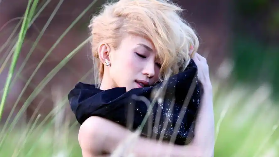 高清晰马来西亚客家人女明星penny tai戴佩妮宽屏桌面壁纸下载