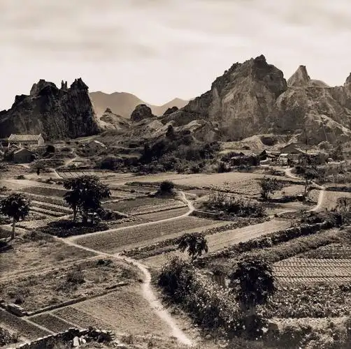 20世纪初老照片真实还原当时社会百态