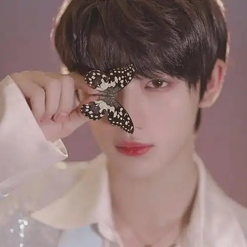 tnt头像你与星光同样浪漫