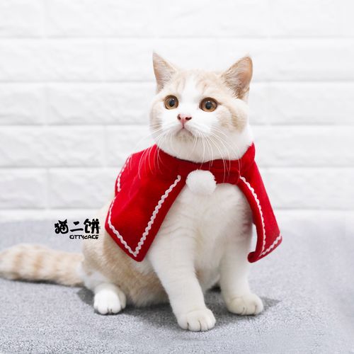 宠物猫咪圣诞节日披风可爱拍照红色斗篷狗狗猫咪衣服围脖英短加菲