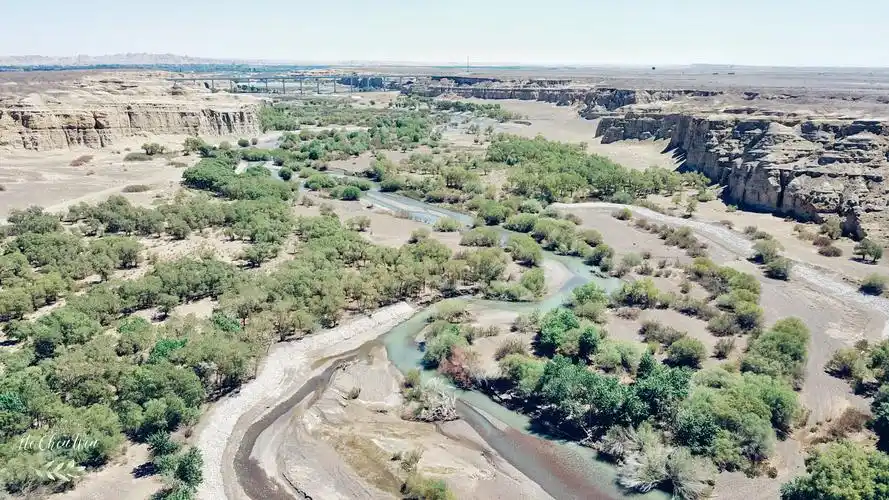实拍白杨河大峡谷树木葱茏溪流潺潺却鲜为人知
