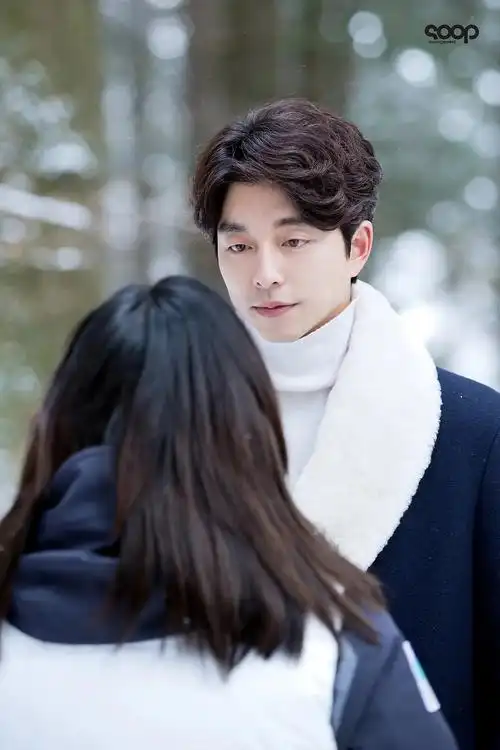 孔刘早期因出演《咖啡王子1号店》走红,站稳一线男演员地位,后又凭借