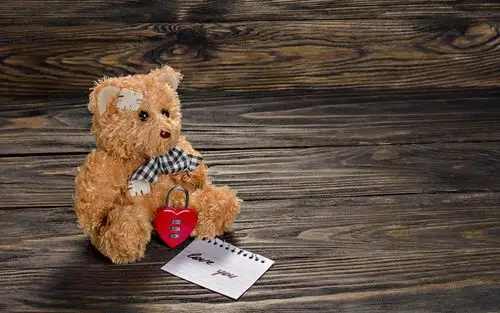 泰迪熊可爱玩具图片桌面壁纸