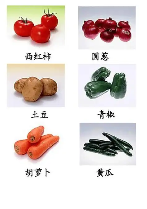 100种蔬菜名称大全(蔬菜名称大全集)常见的蔬菜种类100种 常见的蔬菜