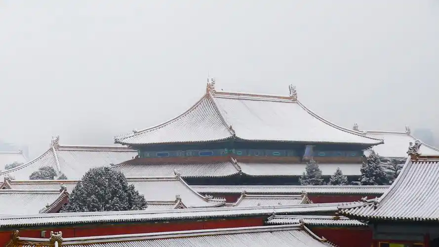 故宫雪在太和殿广场打雪仗也太幸-丹洛