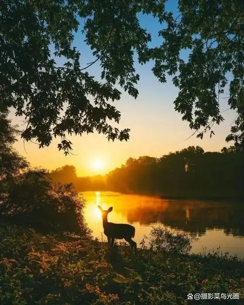 与蓝天合影:如何拍出清新自然的风景照