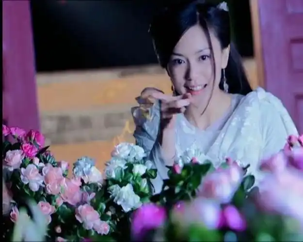 《天外飞仙》,由林依晨和胡歌主演,她在剧中饰演小七的姐姐二仙女,与