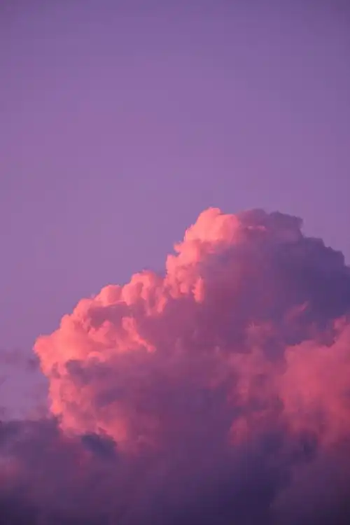 800_1200竖版 竖屏